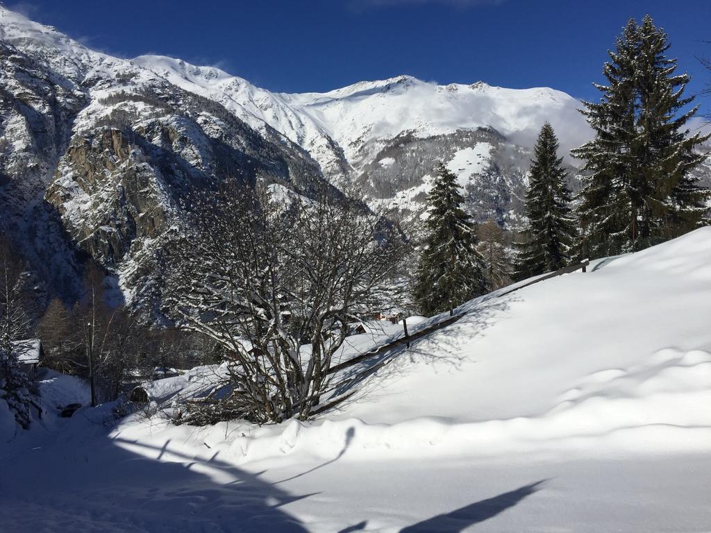 Chalet Du Chef Grächen Esterno foto